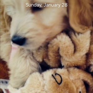 Meet your Posher, Jewels